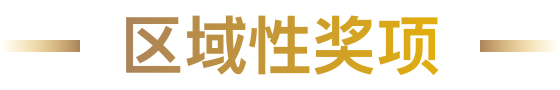 区域性奖项